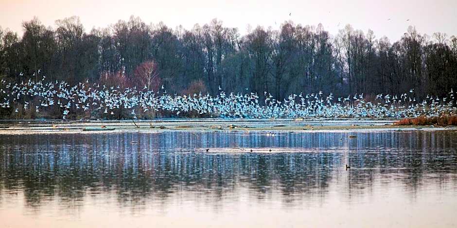 HOTEL ZILLNERs EINKEHR ***