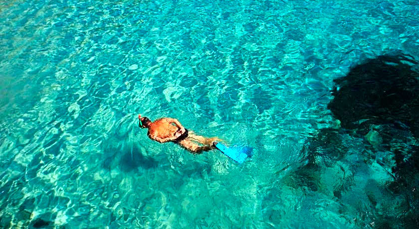 Apartamentos Niu D Aus