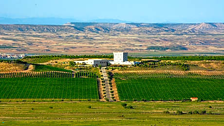 Hotel Pago De Cirsus