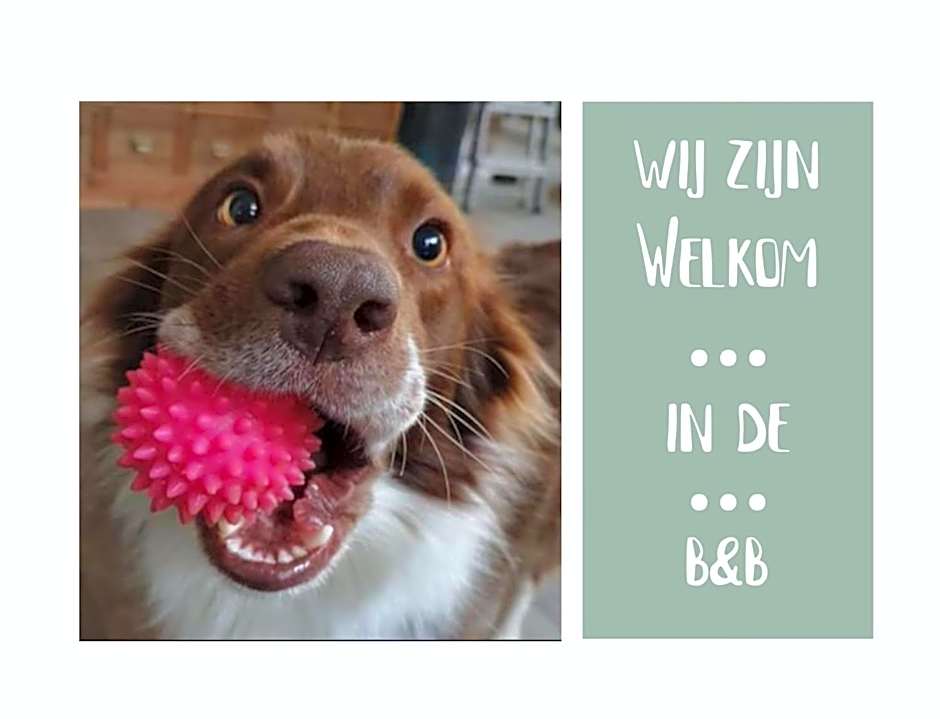 B&B Het Gelders Buitenleven