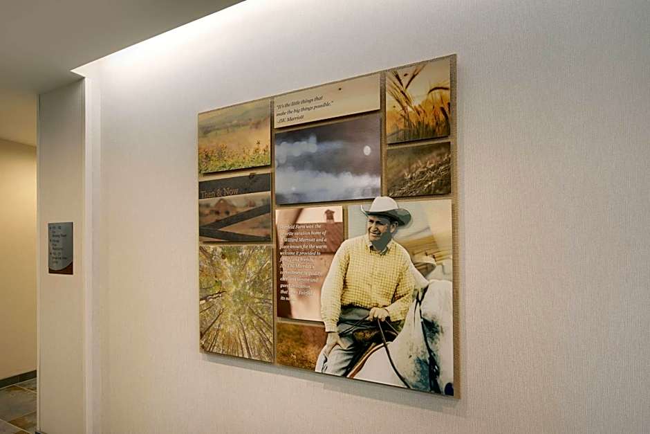 Fairfield Inn & Suites by Marriott Tampa Wesley Chapel