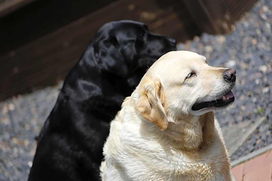 Philipburn Hotel, BW Signature Collection