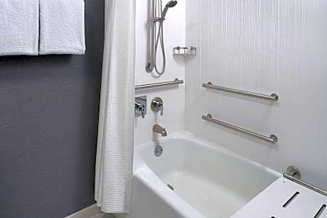 Suite, 1 Bedroom, Courtyard View (1 King Bed and 1 Double Sofa Bed)