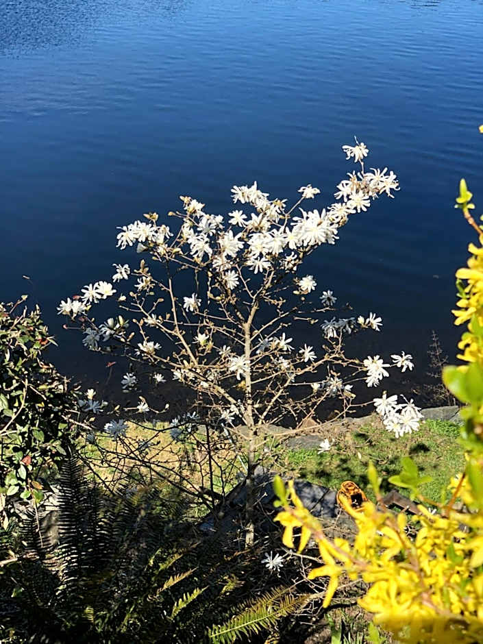 Cycle Inn Bed and Breakfast