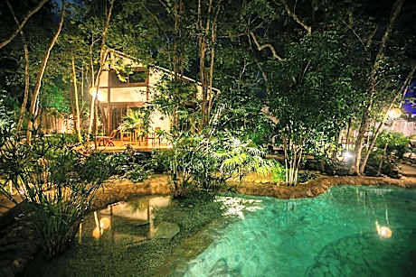 Nahouse Jungle Lodges