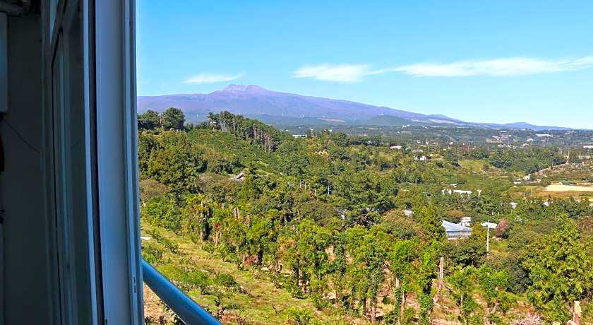 Dreaming Forest Pension