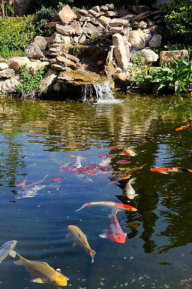 Logis Hotel Des Grands Vins