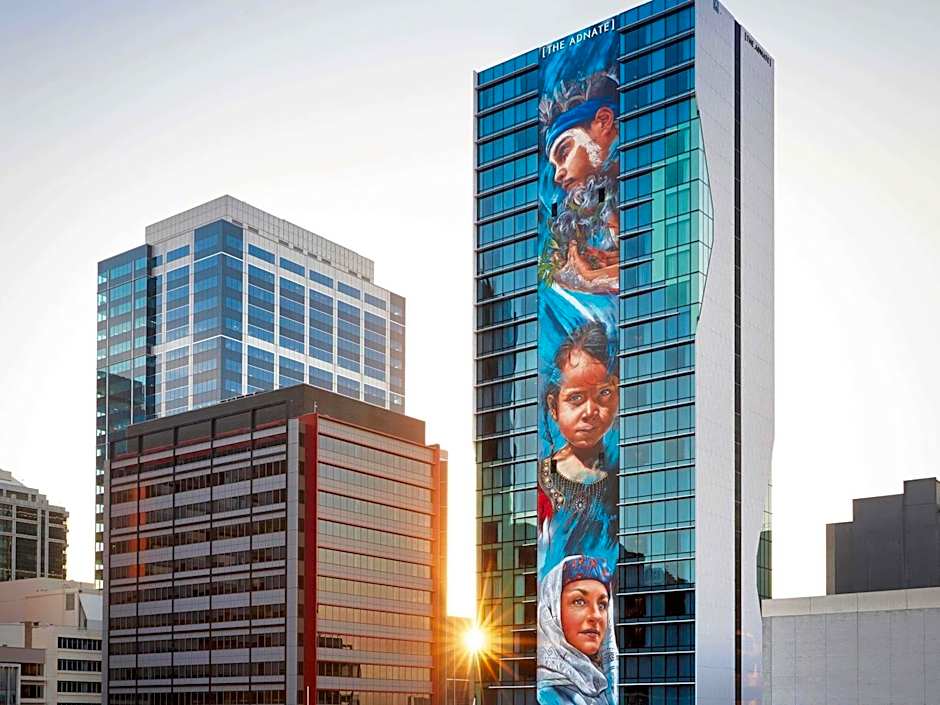 The Adnate - Art Series 