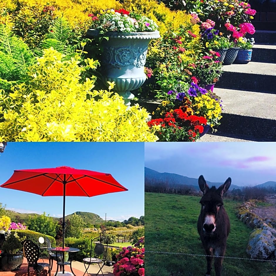 Hillcrest farmhouse Bed & Breakfast