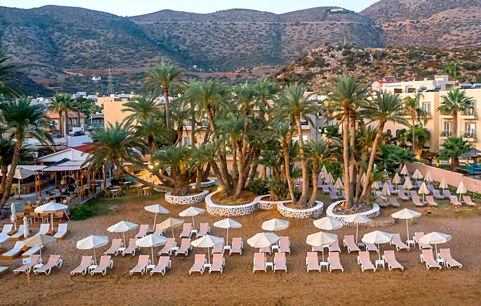 Zeus Hotels Palm Beach