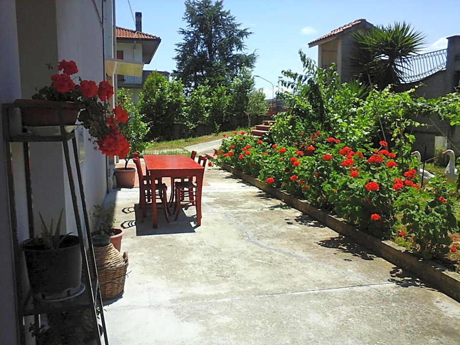 B&B Tio Pepe