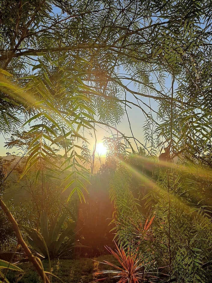 Pousada Sítio Rústicu's