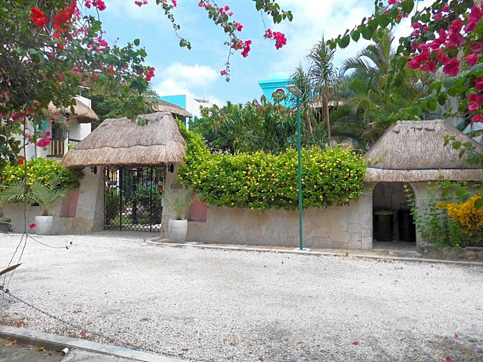 Casa Gatos