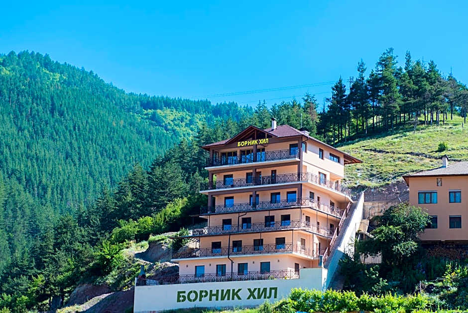 Борник Хил / Bornik Hill