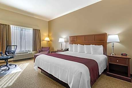 King Room with Vineyard View - Disability Access/Non-Smoking