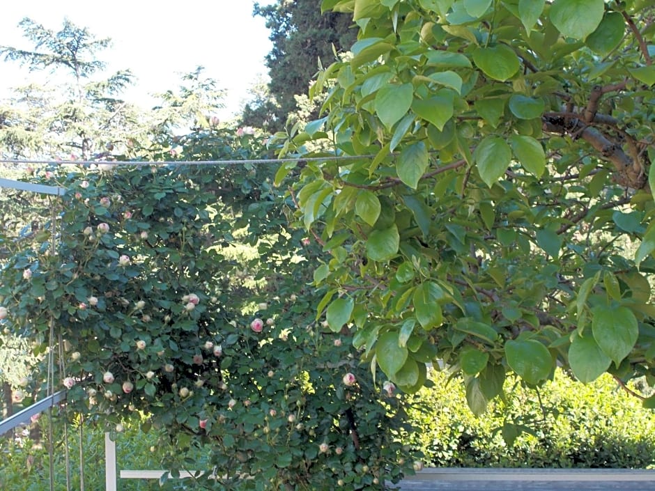 La Vecchia Locanda