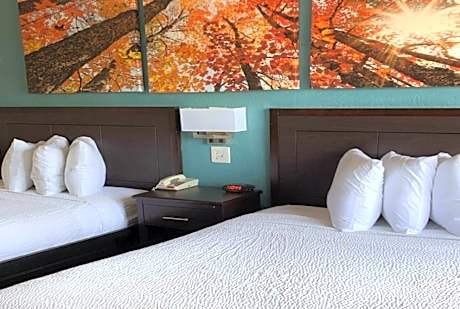 Room with Two Double Beds, Pet Friendly, Non-Smoking
