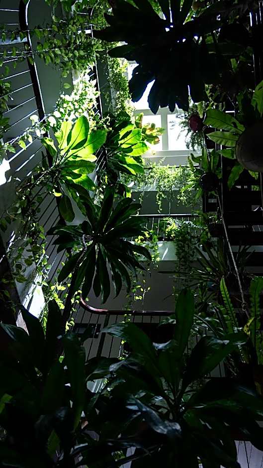 Nicobar Con Dao Hotel