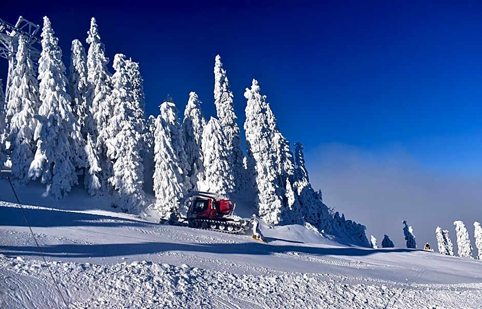 Apartament Alpin Poiana Brasov , etaj 8