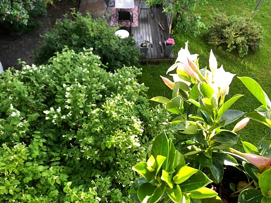 Strandgården Karlstad