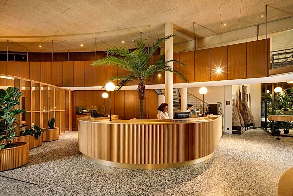 Alpha-Palmiers By Fassbind