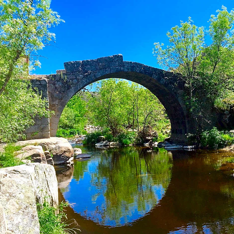 Complejo Rural Los Jarales