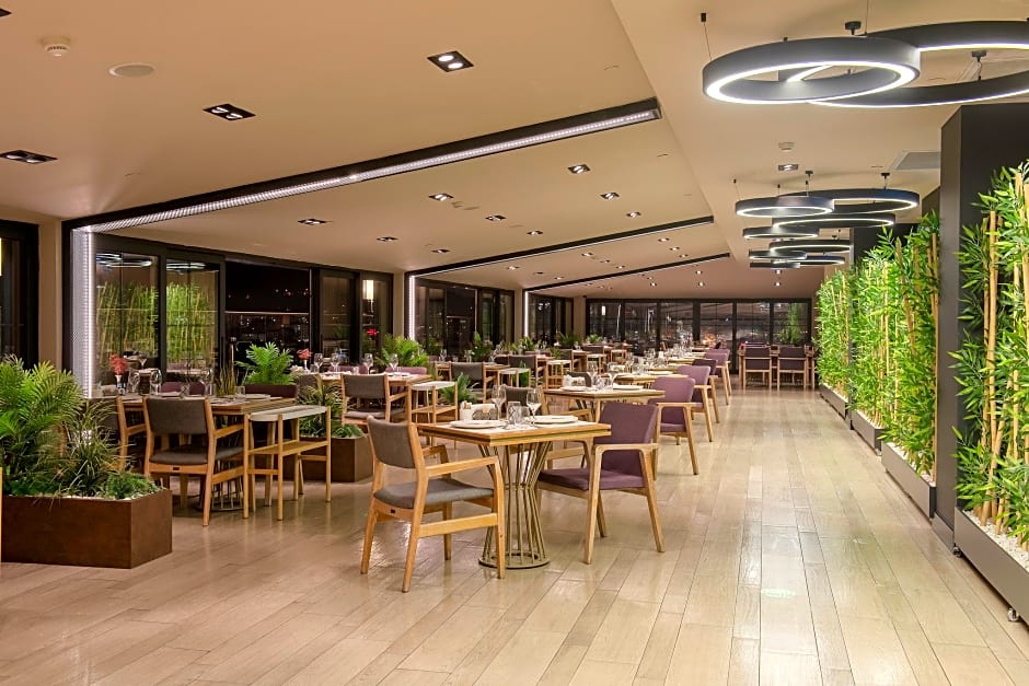 Holiday Inn Kayseri - Duvenonu By IHG