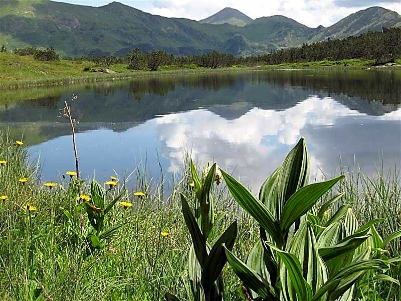 Alpengasthof Grimmingblick