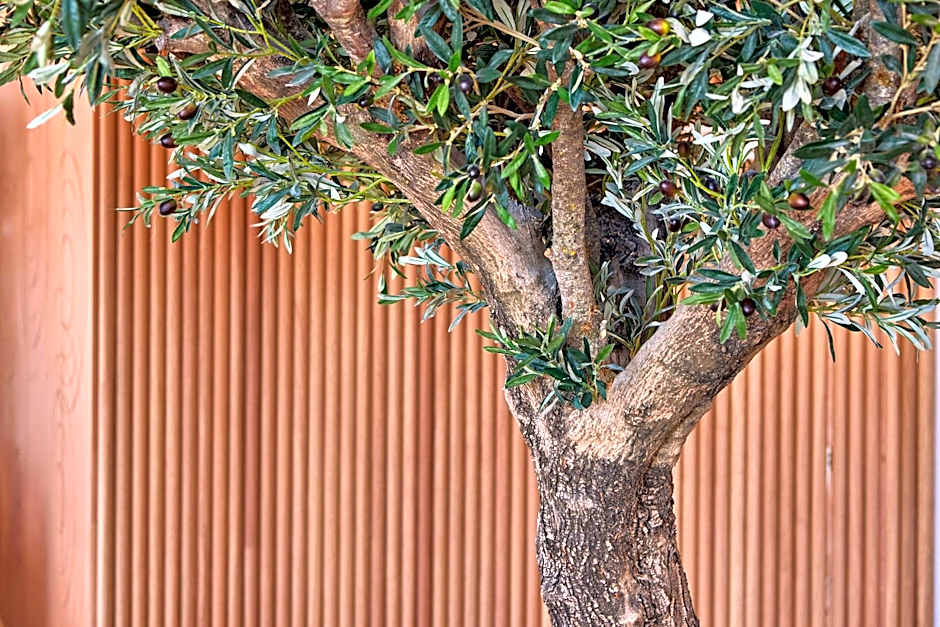 Universal Hotel Aquamarin