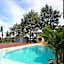 ROYAL PINEAPPLE HOTEL l a welcome to wealth and good fortune