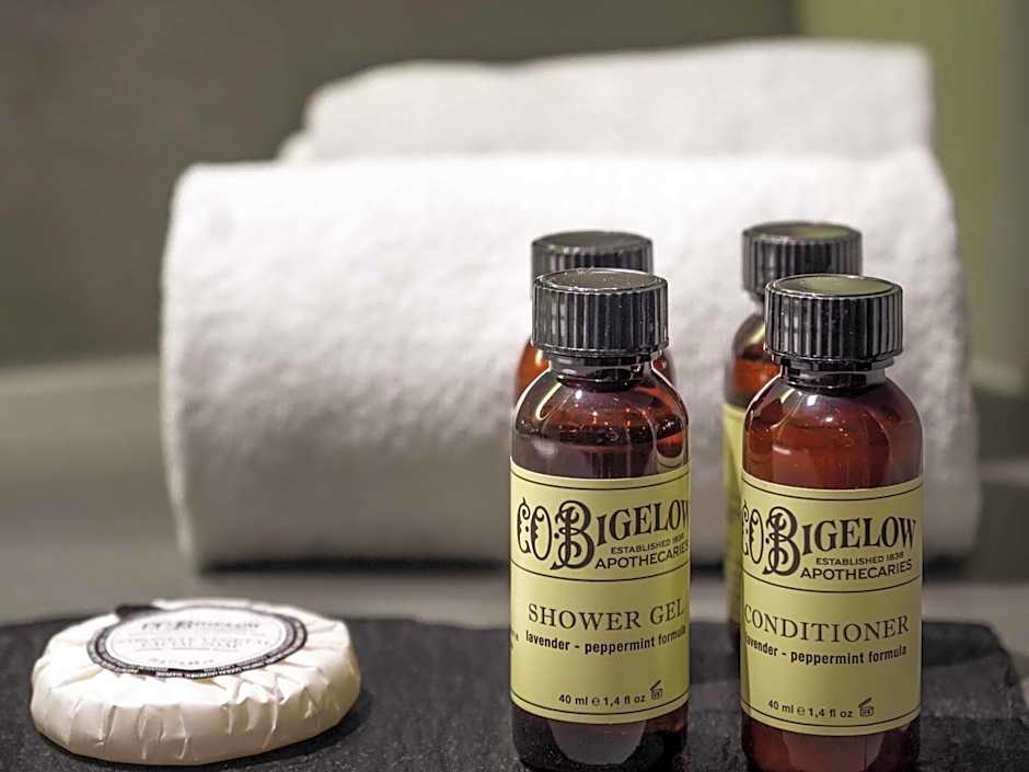 Pullman Santiago El Bosque