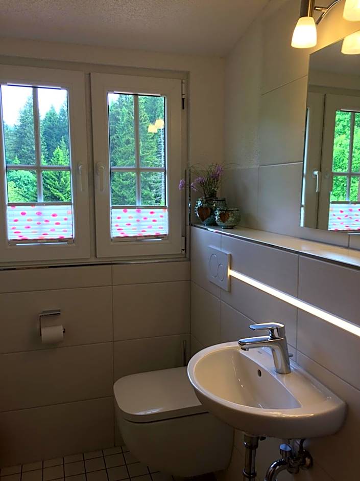 Appartements und Ferienhaus Gasthof Kanzlersgrund