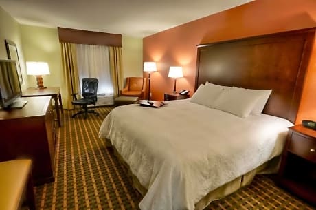 1 King Bed Nonsmoking