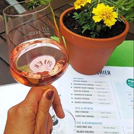 Gästehaus Weingut Schier im Zehnthof