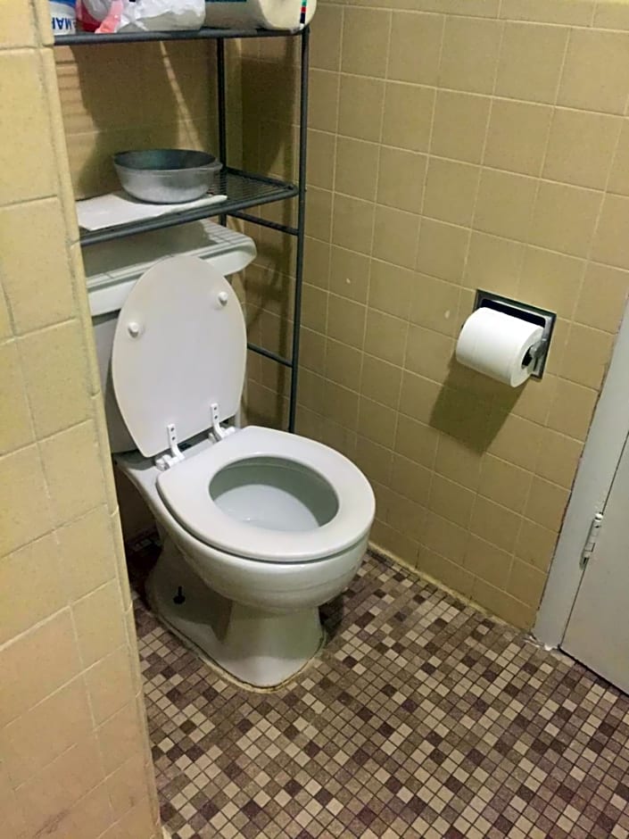 Avenues Hostel