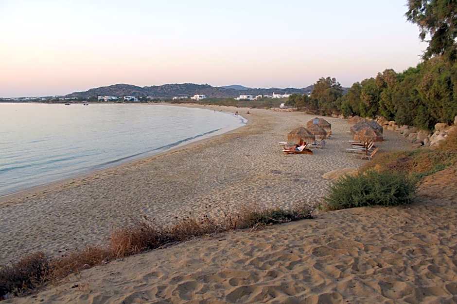Villa Paradise in Naxos