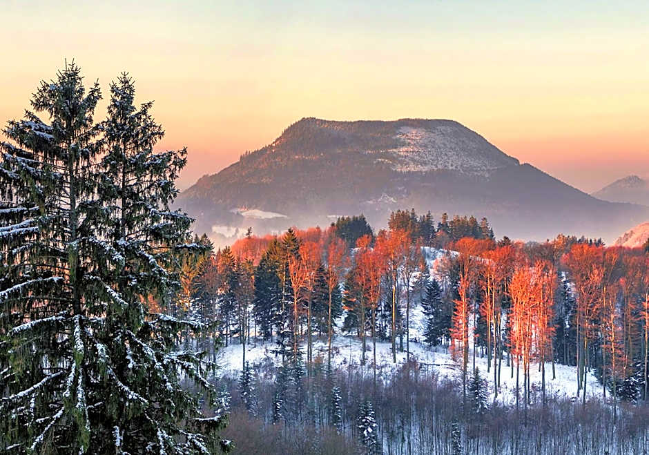 Hotel Restaurant Mont Champ du Feu
