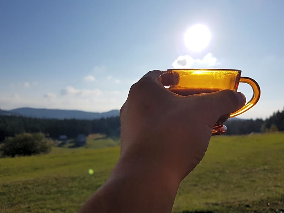 Cabana Poiana Dealul Frumos