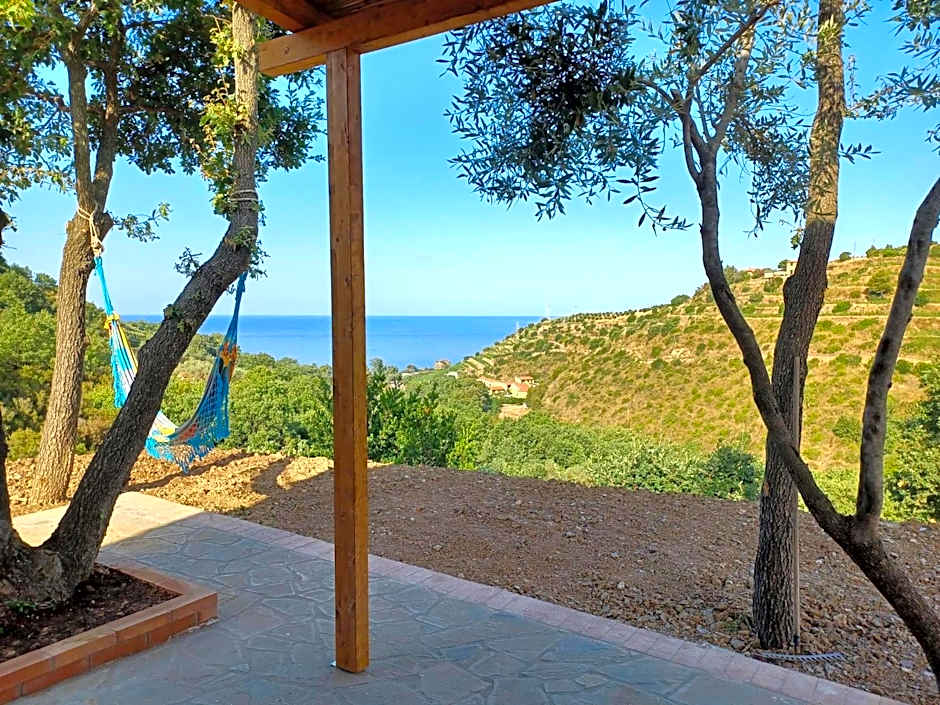 Agriturismo Le Terre di Veneré