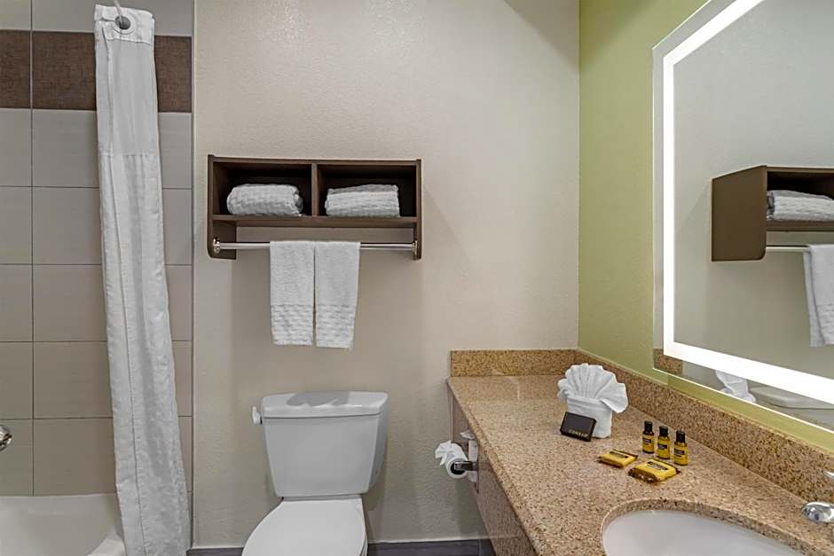 Best Western Plus North Houston Inn & Suites