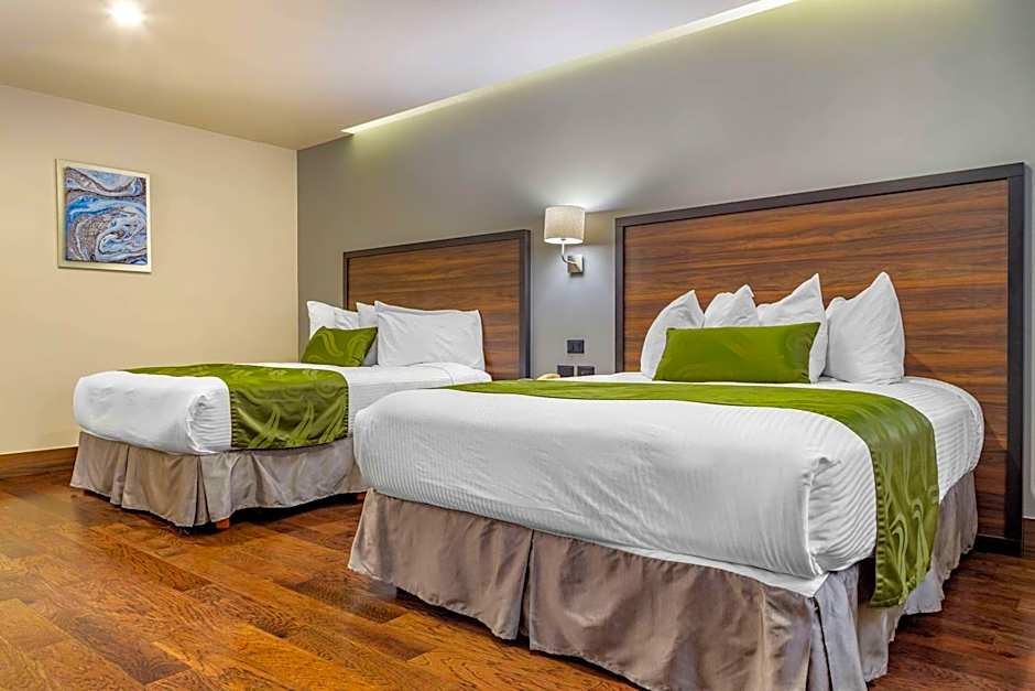 Quality Inn Chihuahua San Francisco