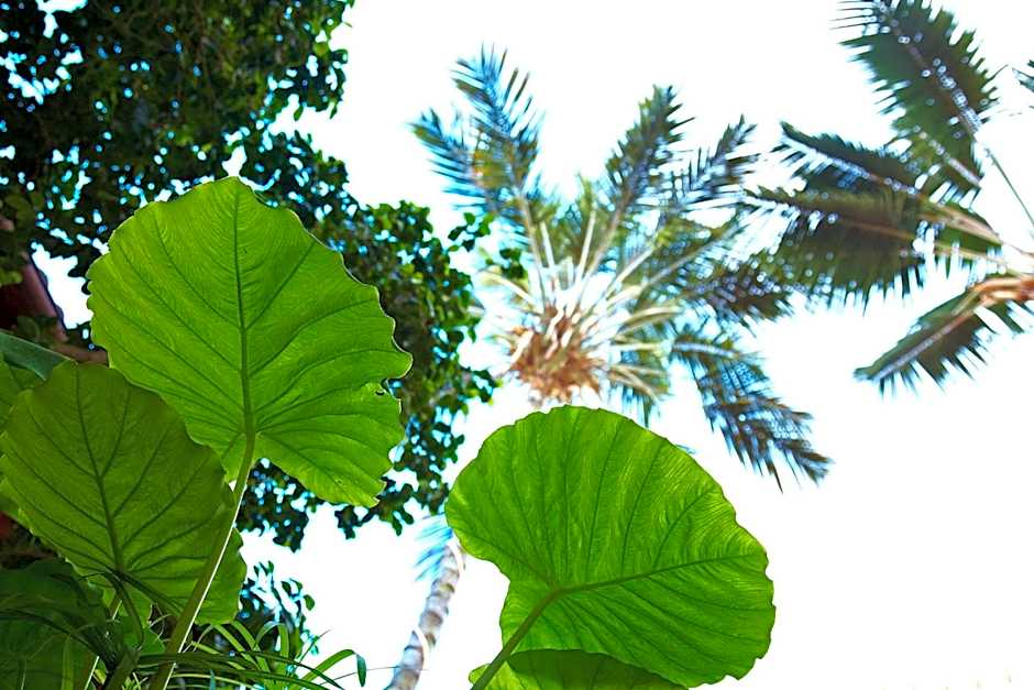 Hotel Emblemático San Agustin