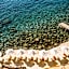 Il Pellicano