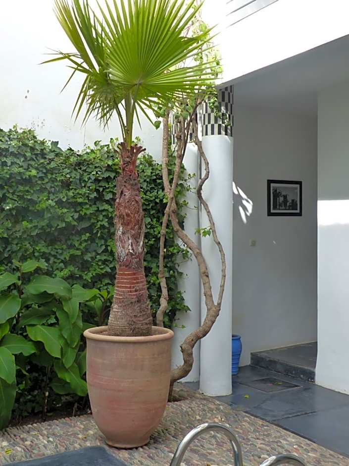 Riad Tchina