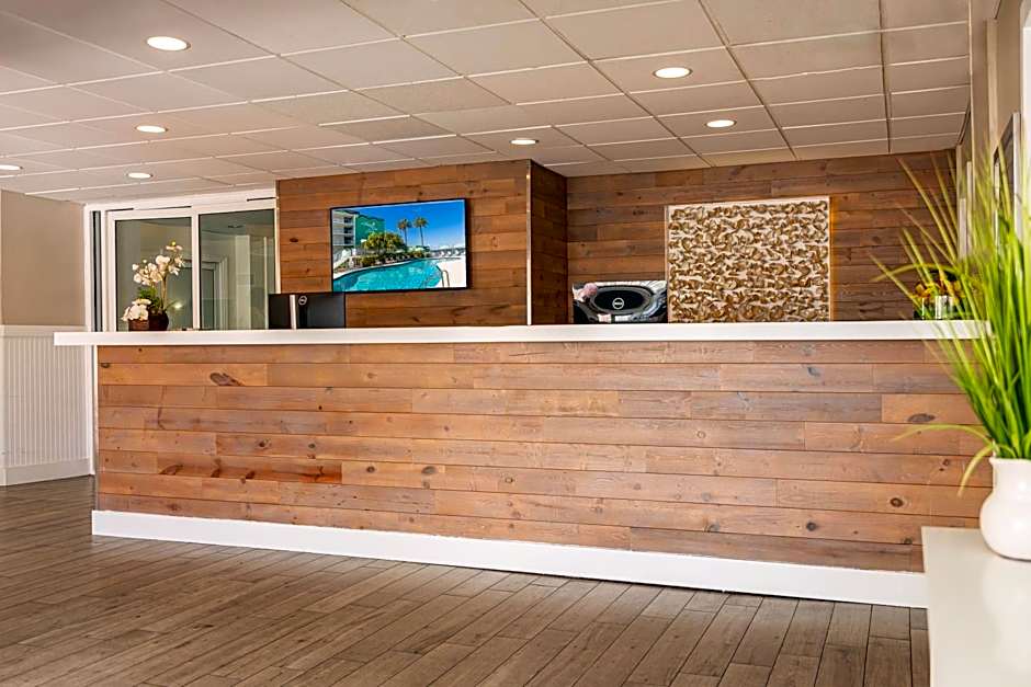 Palm Tree Club Miami