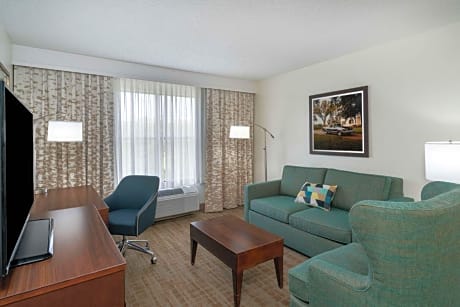King Suite with Sofa Bed and Bath Tub - Disability Access/Non-Smoking