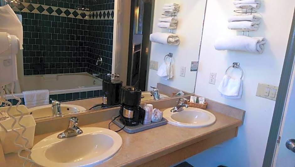 Holland Inn and Suites