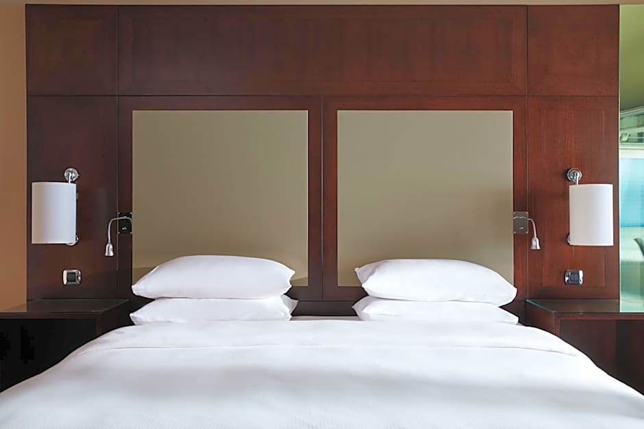 Hyatt Regency Nice Palais De La Mediterranee