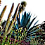 Hotel Boutique Rancho San Juan Teotihuacan