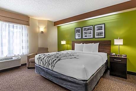 King Room - Non-Smoking